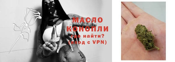 стаф Богданович