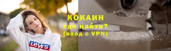 дмт Богородицк