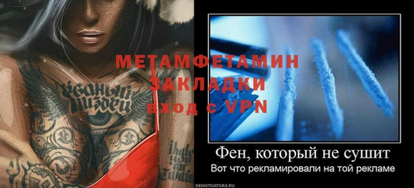 стаф Богданович