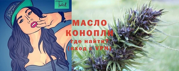 дмт Богородицк