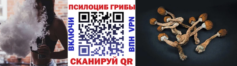 закладки  hydra рабочий сайт  Псилоцибиновые грибы Cubensis  Можга 